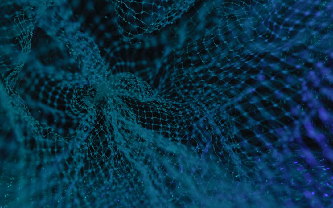 Oakbridge and Carey Olsen support Phillip Street Partners on launch of new crypto macro fund