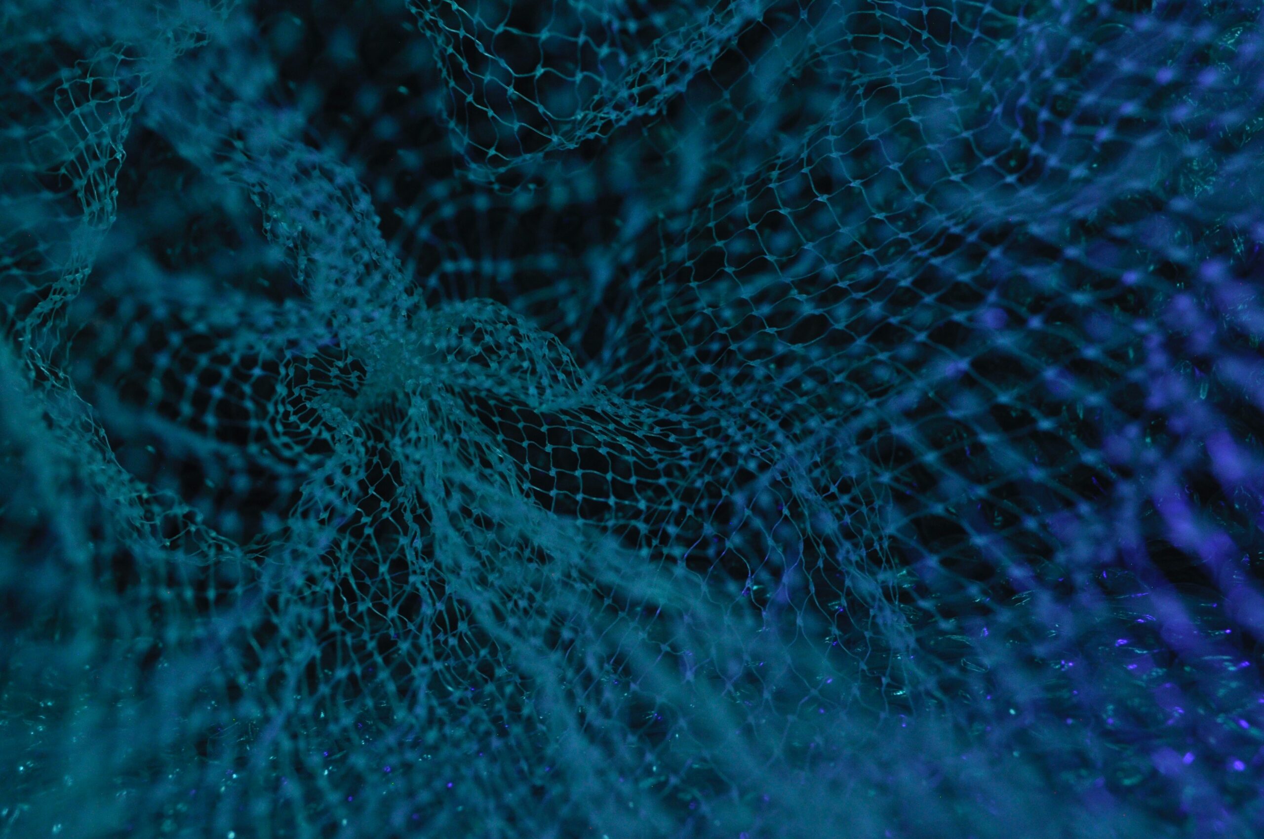 Uriel Sc 11KDtiUWRq4 Unsplash (1)